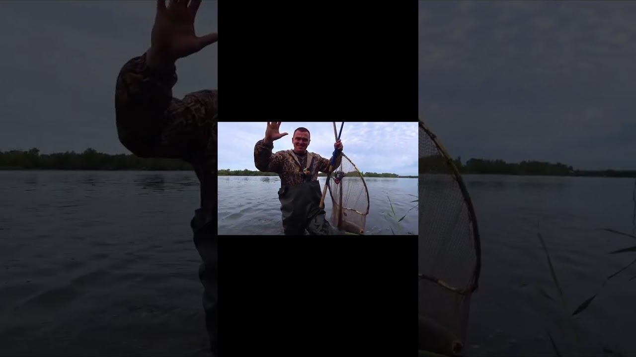 УДОЧКИ В ДУГУ!!! ФРИКЦИОНЫ ДЫМЯТСЯ !!! #shorts смотреть онлайн