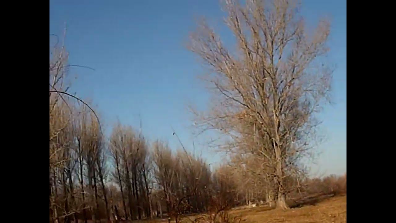 18.11.2024 ЧТО ДЕЛАТЬ? : ЛПХ В ОПАСНОСТИ смотреть онлайн