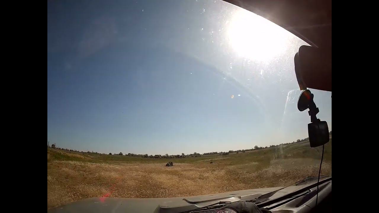 25.05.2024 ЧТО ДЕЛАТЬ? : ЛПХ В ОПАСНОСТИ смотреть онлайн