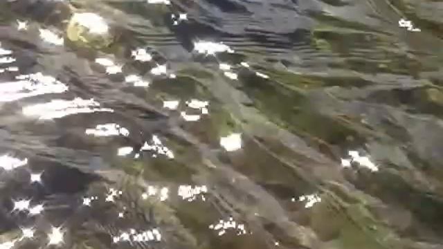 Liquid Shredder SUP Flat Water Trip смотреть онлайн