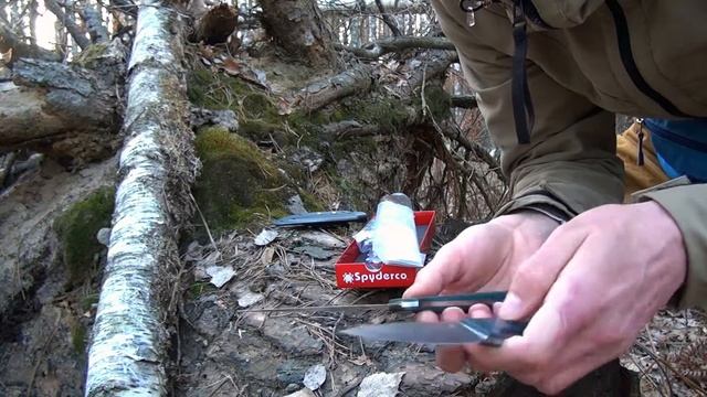 Spyderco Phil Wilson's Sprig CPM S90V (весенний лес,эмоции,первые впечатления). смотреть онлайн