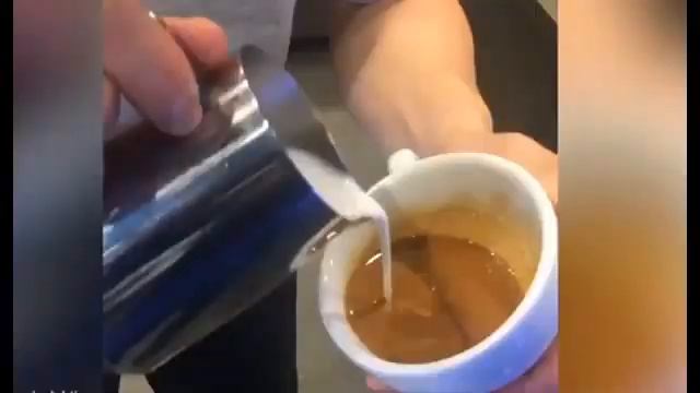 Coffee artist creates incredible animal images with milk (latest world news) смотреть онлайн