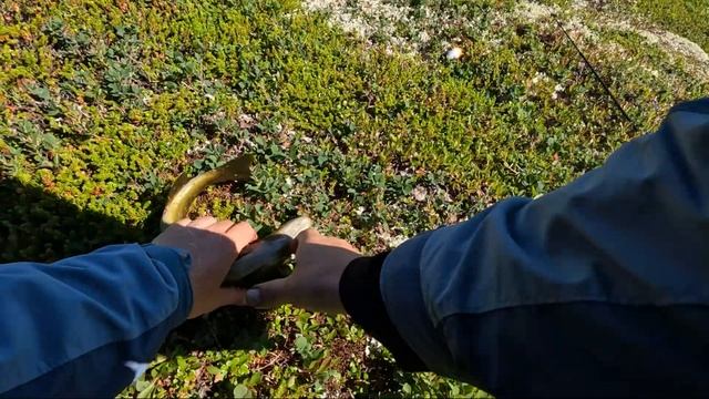 Губа Одинцова. Кумжа!!! Дикое место! смотреть онлайн