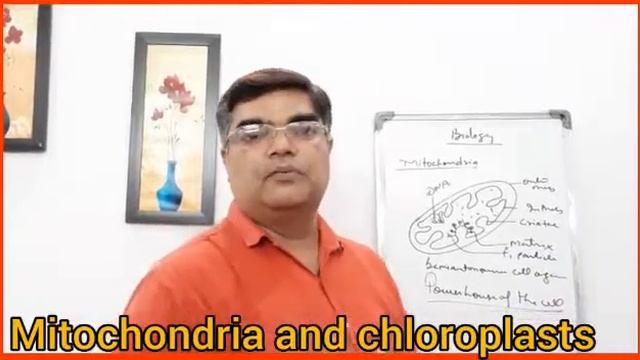 Mitochondria and chloroplast смотреть онлайн