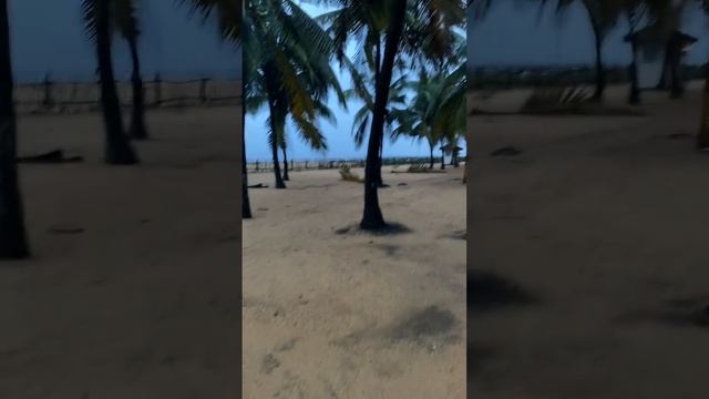 club hotel dolphin negombo sri lanka смотреть онлайн