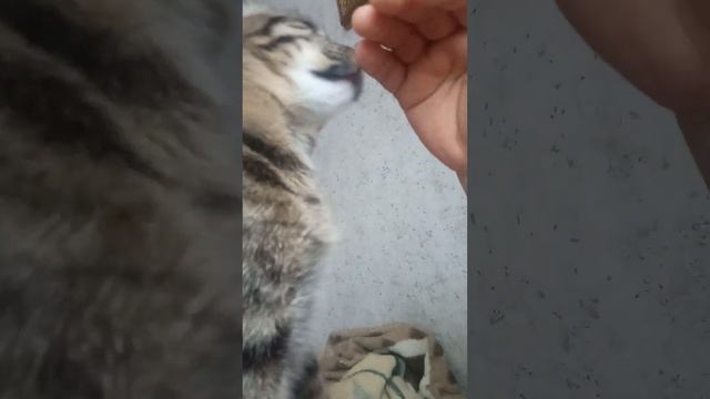 29 января 2023 г. смотреть онлайн