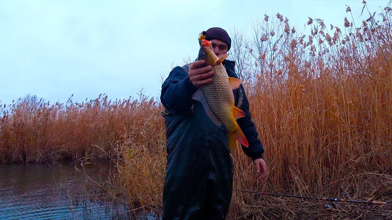 САЗАНА,КАРАСИ И КРУПНАЯ ТАРАНЬ !!! смотреть онлайн