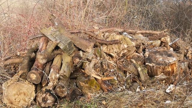 Яка зима, такий і живопис, січень 2021 львівська область смотреть онлайн