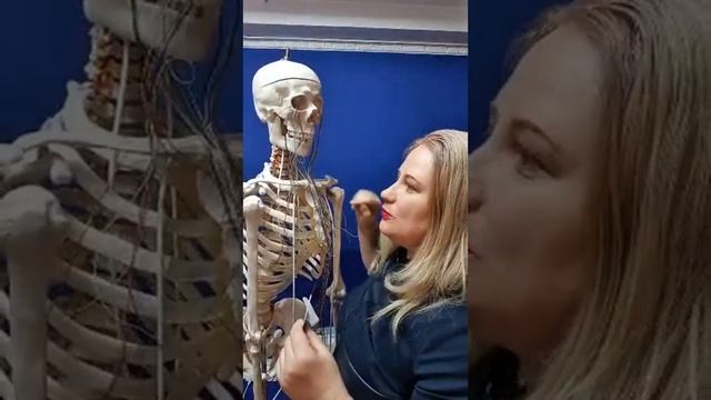 Матрица Здоровья Работа с аллергиями смотреть онлайн