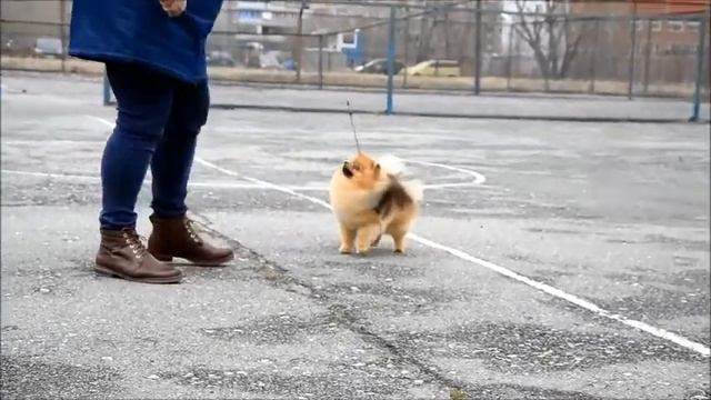 Фильм Гуф 1 смотреть онлайн