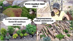 Итоги садовых работ. Коллекция хвойных растений.