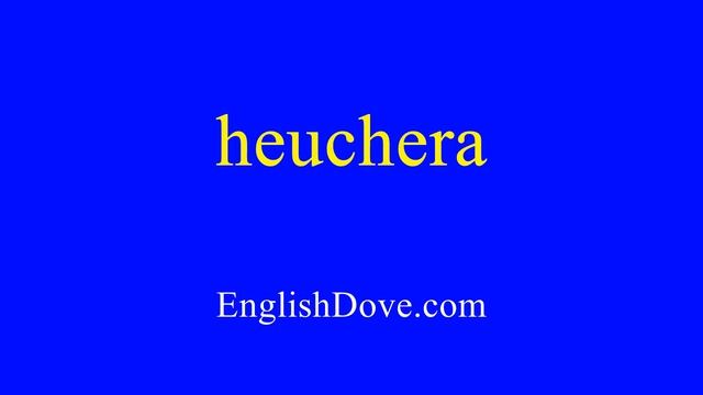 How to pronounce heuchera in American English смотреть онлайн