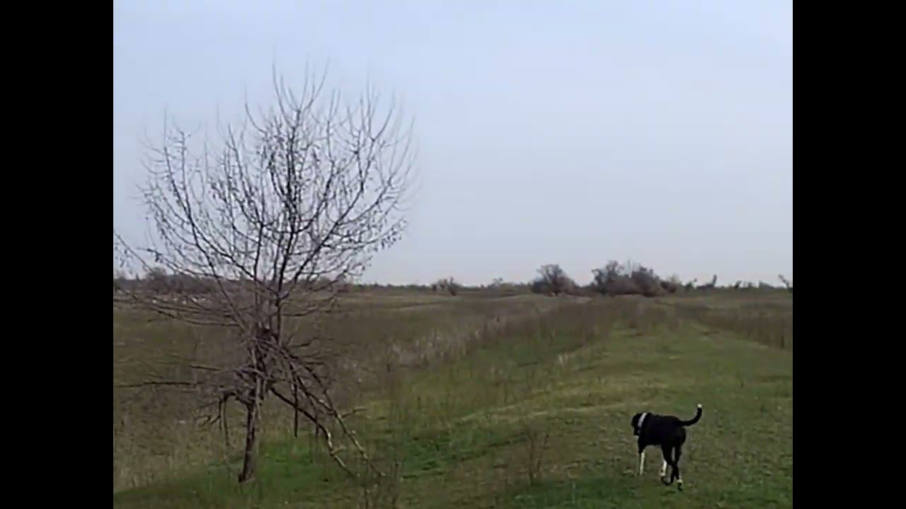 13.04.2024 ЧТО ДЕЛАТЬ? : ЛПХ В ОПАСНОСТИ смотреть онлайн