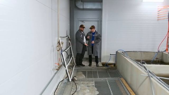 Обзор форелевой фермы УЗВ канального типа смотреть онлайн