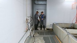 Обзор форелевой фермы УЗВ канального типа