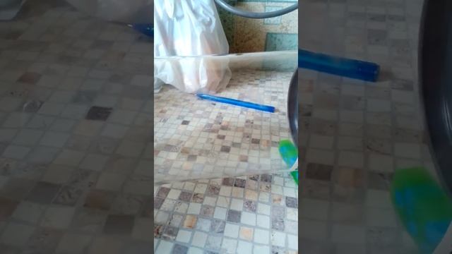 создал террариум дома смотреть онлайн