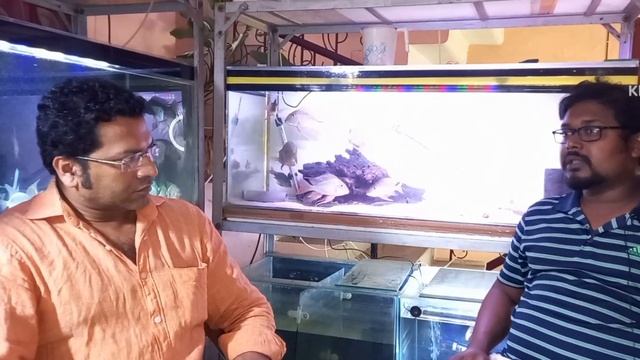 Geophagus Breeding with Geophagus Breeder& Specialist Mr.Samyajit Patra смотреть онлайн