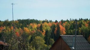 НАМ ПОНАДОБИЛОСЬ 4 ДНЯ ЧТОБЫ СОБРАТЬ ВЕСЬ УРОЖАЙ | ЛЮБОВЬ | ДЕРЕВНЯ И КАРТОШКА | В ЯМЕ НЕТ МЕСТА