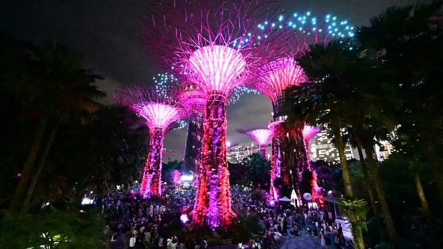 DSC_1418 смотреть онлайн