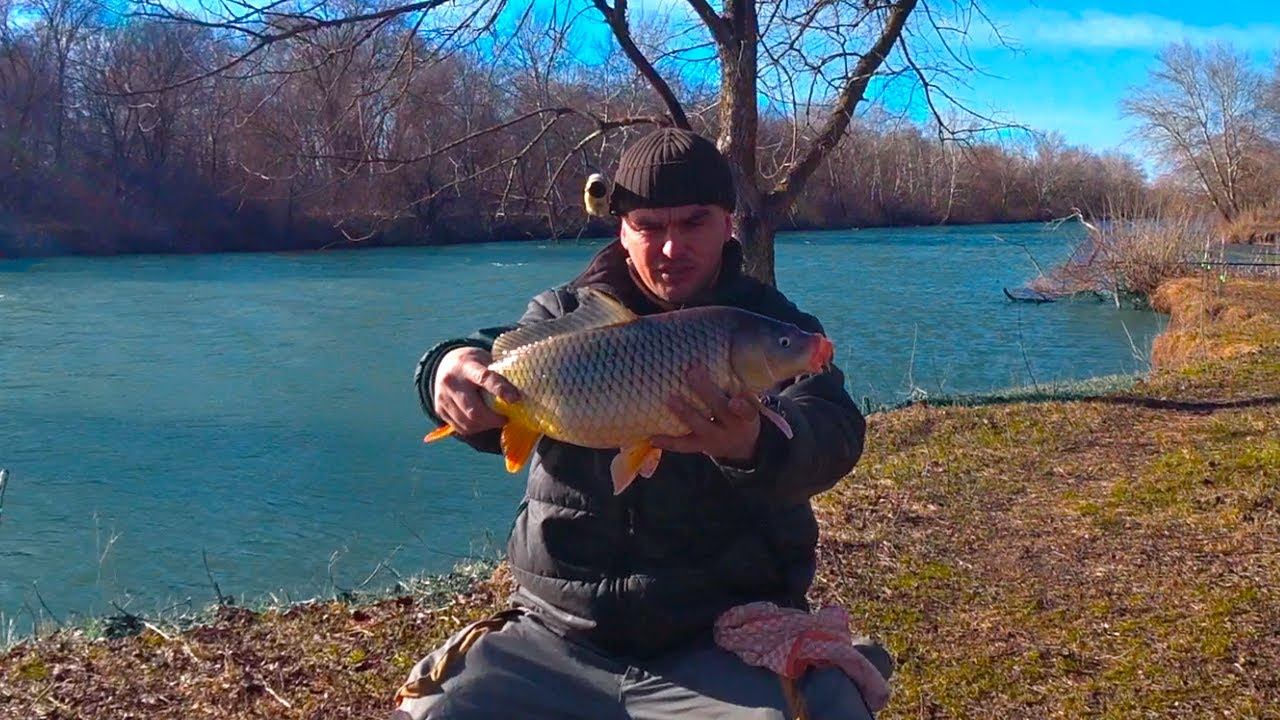 САЗАН В ФЕВРАЛЕ !!! смотреть онлайн