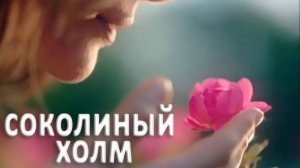 Сериал Соколиный Холм