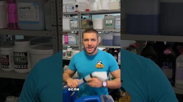 Химчистка мебели и ковров в Воронеже - Панда