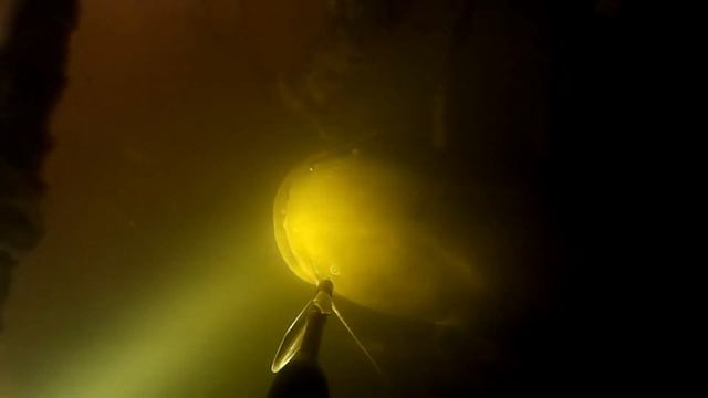 трофейный сом 2023 года смотреть онлайн