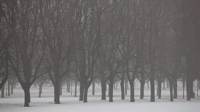 Canon EOS 5D Mark II Test смотреть онлайн
