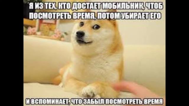 смешные мемы в виде картинок | смешная подборка на сорок секунд смотреть онлайн