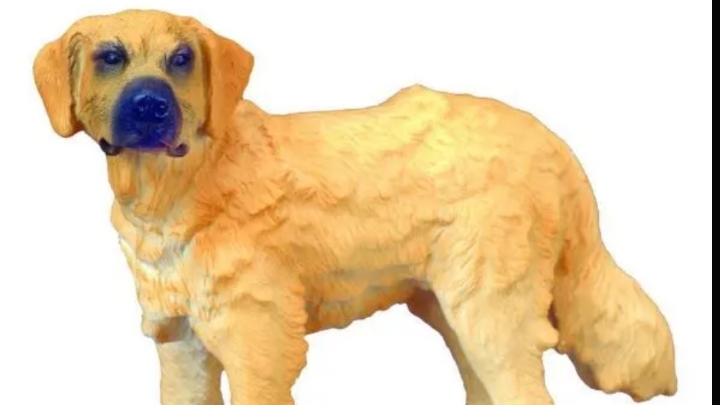 обзор фигурки собаки от фирмы collecta золотистый ретвилер смотреть онлайн