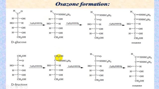 Ozazone formation تكوين الاوزازون للسكريات الاحادية смотреть онлайн