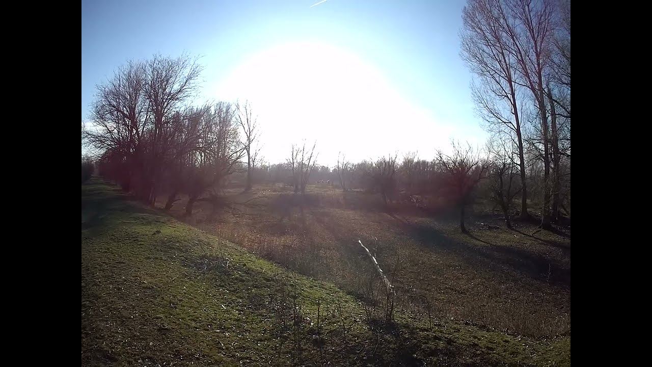 08.01.2024 ЧТО ДЕЛАТЬ? : ЛПХ В ОПАСНОСТИ смотреть онлайн