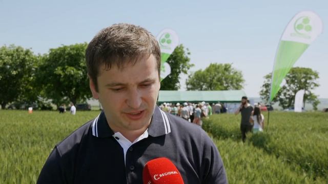 ДЕНЬ ПОЛЯ смотреть онлайн