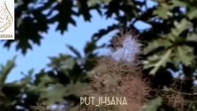 Автаев 1ела! смотреть онлайн