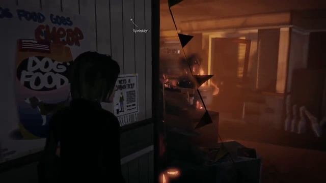 FenderXT - Life is Strange-ep05-3 -Life is sad sometimes... смотреть онлайн