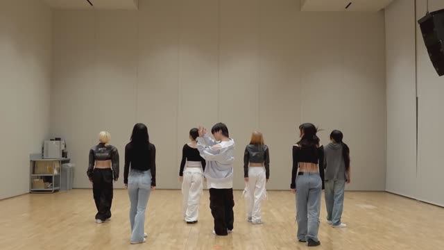 Dino - Wait Dance Practice MIRRORED смотреть онлайн