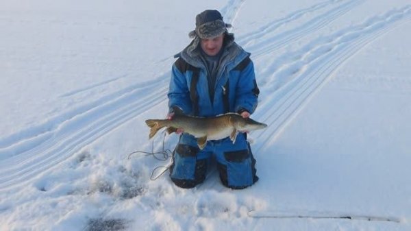 24.01.2014, Борьба со щукой весом шесть килограмм