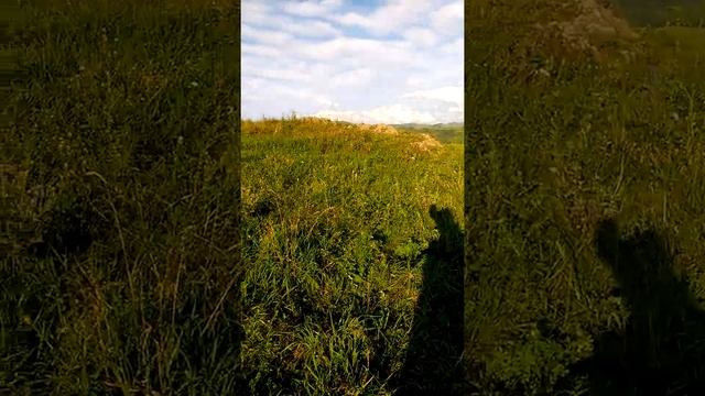 гора Черепаха. На вершине. Опыт сьемки на селфипалку смотреть онлайн
