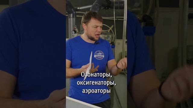 оксигенатор shorts6 #акваферма #разведениерыбы #осетр смотреть онлайн