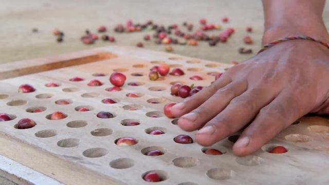 BALI COFFEE HARVEST смотреть онлайн