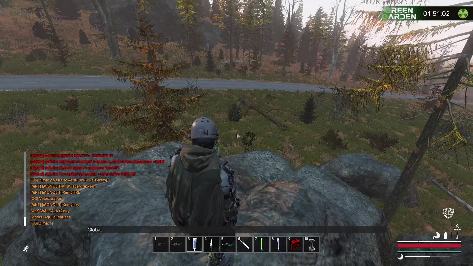 Dayz