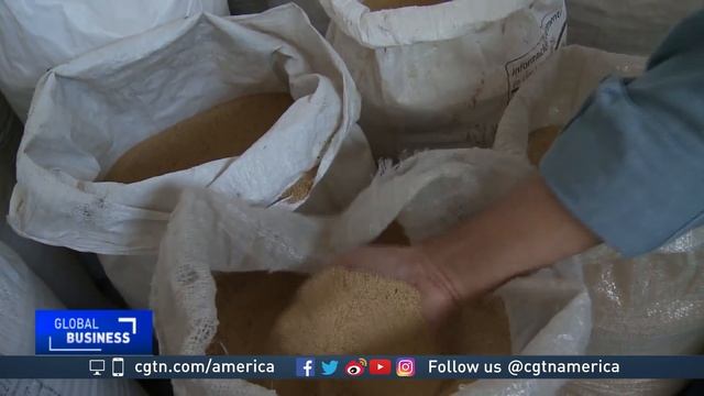 Mexico's ancient crop could help fight world hunger смотреть онлайн