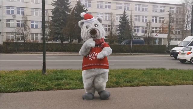 Elabika producent maskotek reklamowych kostium reklamowy Miś Tyluś смотреть онлайн