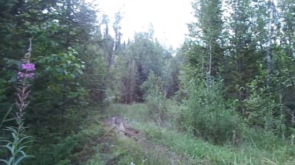 РАФ 2203 на грязевой резине 13