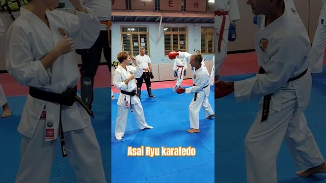 Наработка кумитэ. Asai Ryu karatedo. #каратэ #asairyu #karate смотреть онлайн