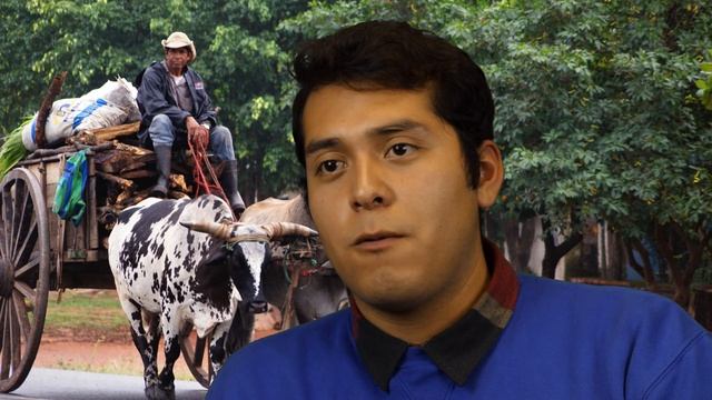 My Love For Paraguayan People смотреть онлайн