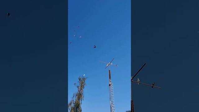 15 ноября 2023 г. смотреть онлайн