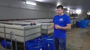 Продолжение теста брендов биозагрузки часть 2