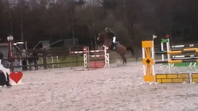Burlywood 9 year Verdi X Notaris смотреть онлайн