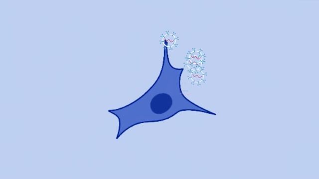Vesiprod- Promotional video смотреть онлайн